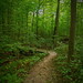 Bob Shrader Photo 23
