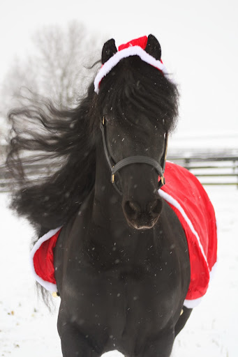 Jennifer Hazen Photo 29 Jennifer Hazen Photo 29