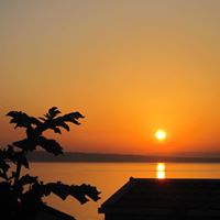 Denise Albrecht Photo 27