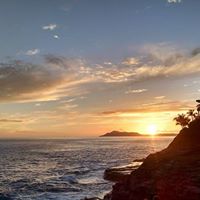 Carmen Lowe Photo 14