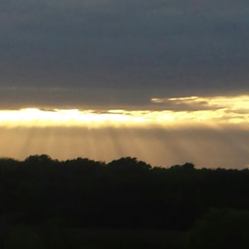 Chris Potts Photo 22