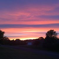 Daniel Colwell Photo 19