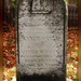 Nancy Dewitt Photo 8
