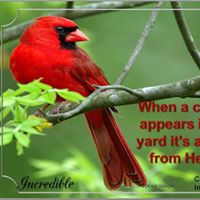 Karen Vincent Photo 31