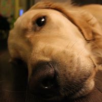 George Miner Photo 10