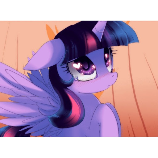 Jared Medeiros Photo 5