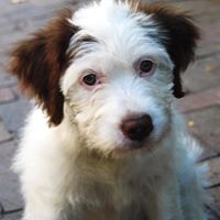 Edward Mccaleb Photo 6