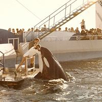 Colleen Hamilton Photo 14