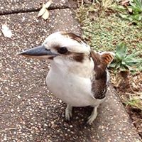 Belinda Humphries Photo 13