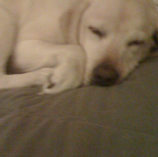 Neil Werner Photo 11