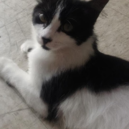 Nicholas Matthews Photo 34