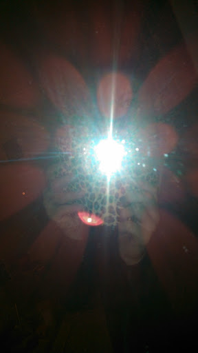 Victoria Gray Photo 16