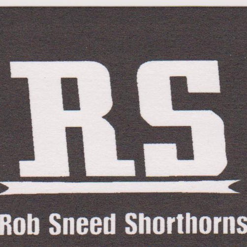 Robert Sneed Photo 16