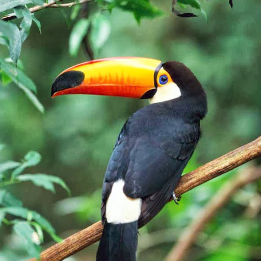 Darlene Wells Photo 24