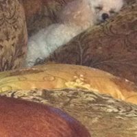 Rebecca Spradlin Photo 6