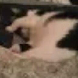 Louise Fleming Photo 8