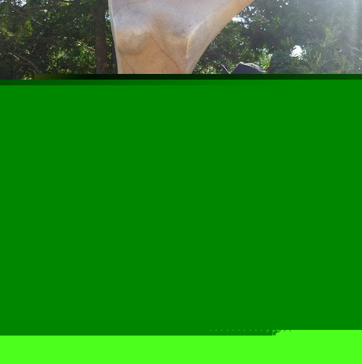 Prathamesh Sawant Photo 8