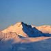 Thomas Wallis Photo 35