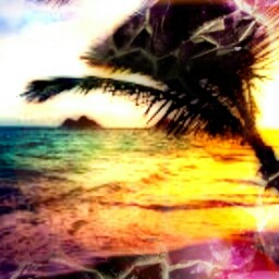 Colleen James Photo 36