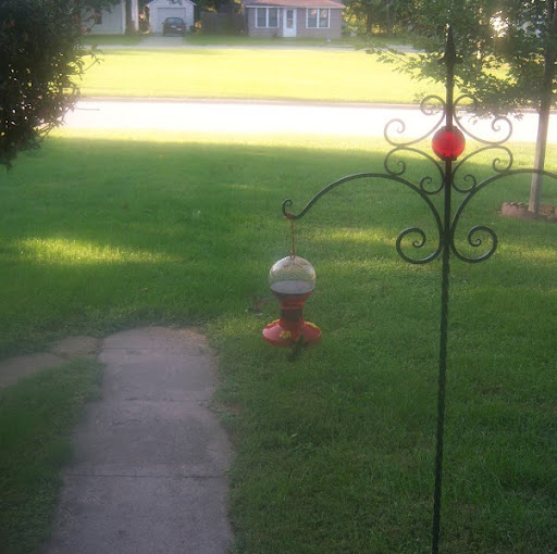 Roxanna Bennett Photo 16