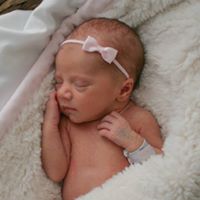 Stacy Howland Photo 4