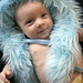 Andrea Burns Photo 19