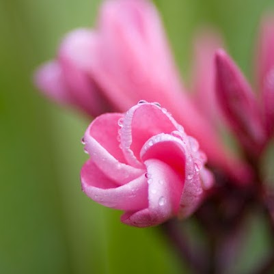 Elizabeth Kruger Photo 15 Elizabeth Kruger Photo 15