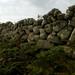Martin Walls Photo 6