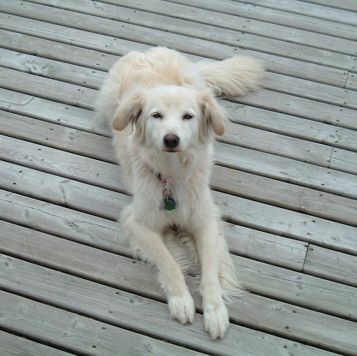 Brenda Nicholson Photo 34 Brenda Nicholson Photo 34