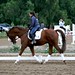 Samantha Trejo Photo 32