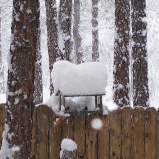 Kathy Reese Photo 11
