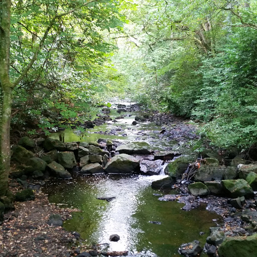 Harry Mcgowan Photo 11