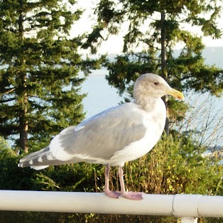 Michelle Gosselin Photo 14