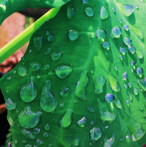 Katie Trimble Photo 14