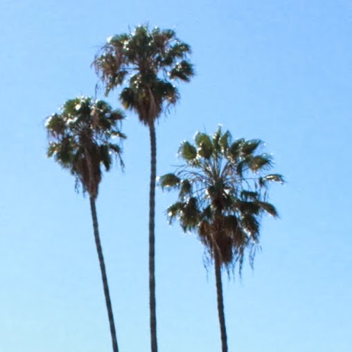 Stephanie Cervantes Photo 30