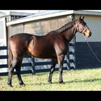 Austin Robbins Photo 26 Austin Robbins Photo 26