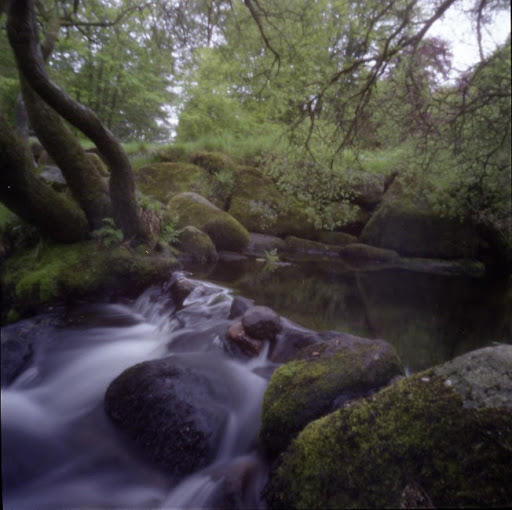 Ollie Taylor Photo 17