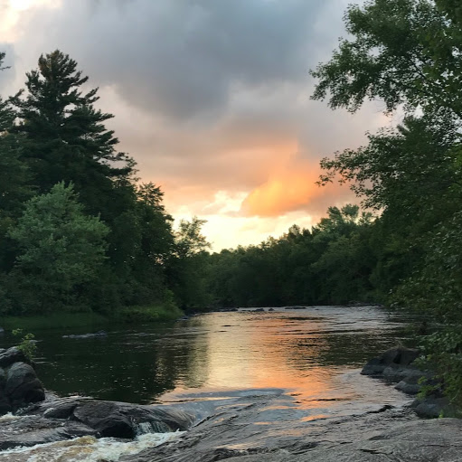 Cheryl Wise Photo 17