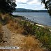 Patricia Gary Photo 12