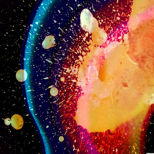 Dan Rutledge Photo 32