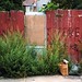 Willis Alley Photo 4
