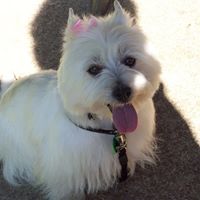 Ruth Sparks Photo 14