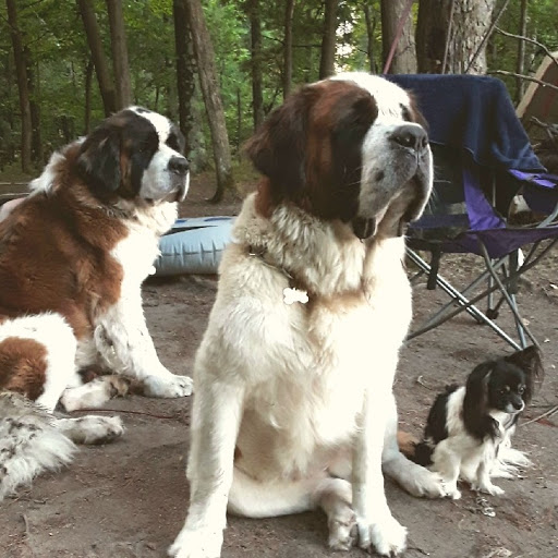 John Barton Photo 51 John Barton Photo 51