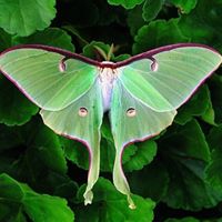 Elizabeth Arnette Photo 2