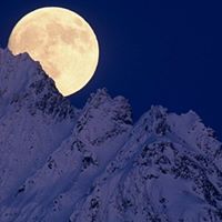 Todd Robbins Photo 11 Todd Robbins Photo 11