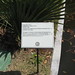 Catherine Ferrell Photo 8