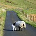 Clyde Lamb Photo 6