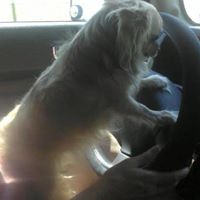 Cindy Parish Photo 19