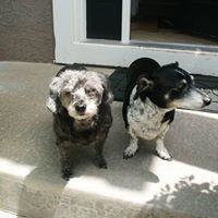 Rick Walters Photo 21