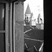 Steve Metz Photo 13